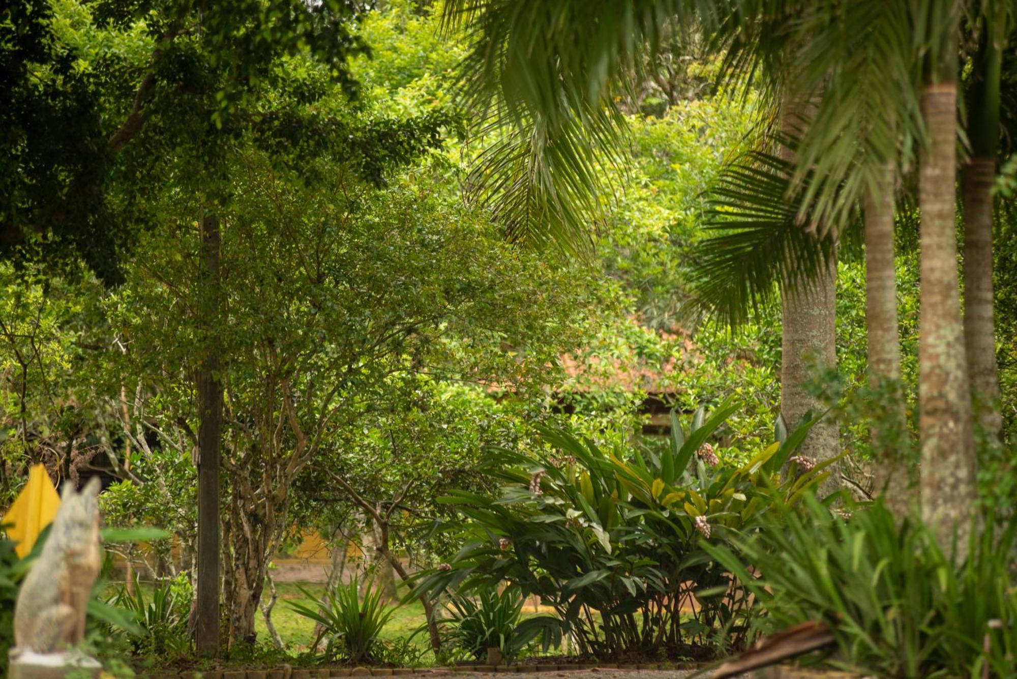 Pousada Chacara Rio Jordao Florianópolis Exteriör bild